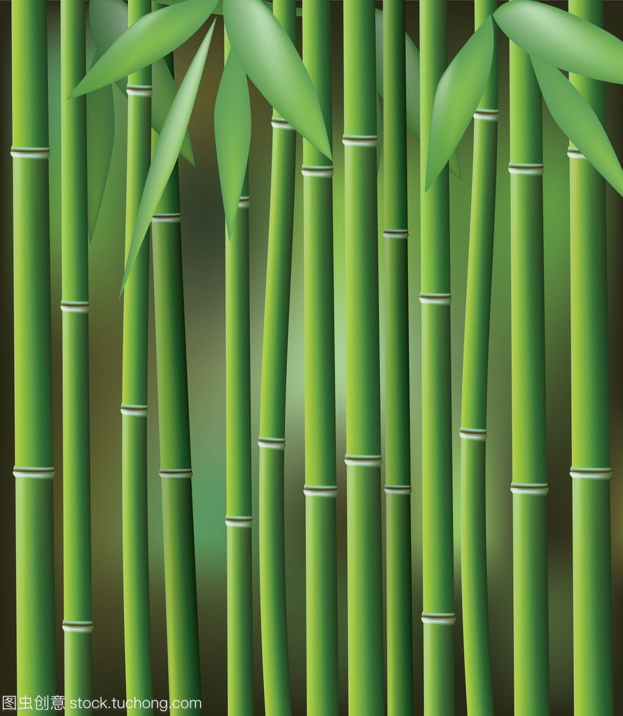 竹、 矢量圖