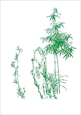 竹子圖片