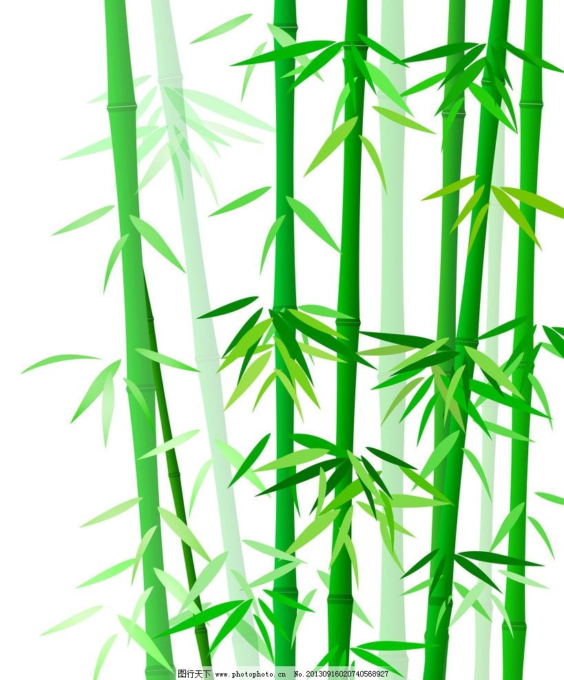 翠竹圖片