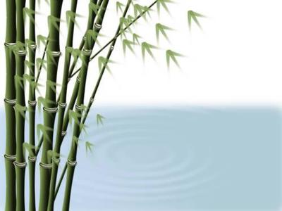 得竹圖_天涯博客_有見識的人都在此_天涯社區