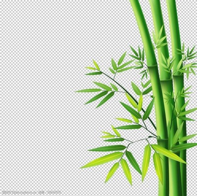 竹l圖圖片素材